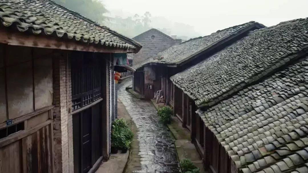 hahabet梦想